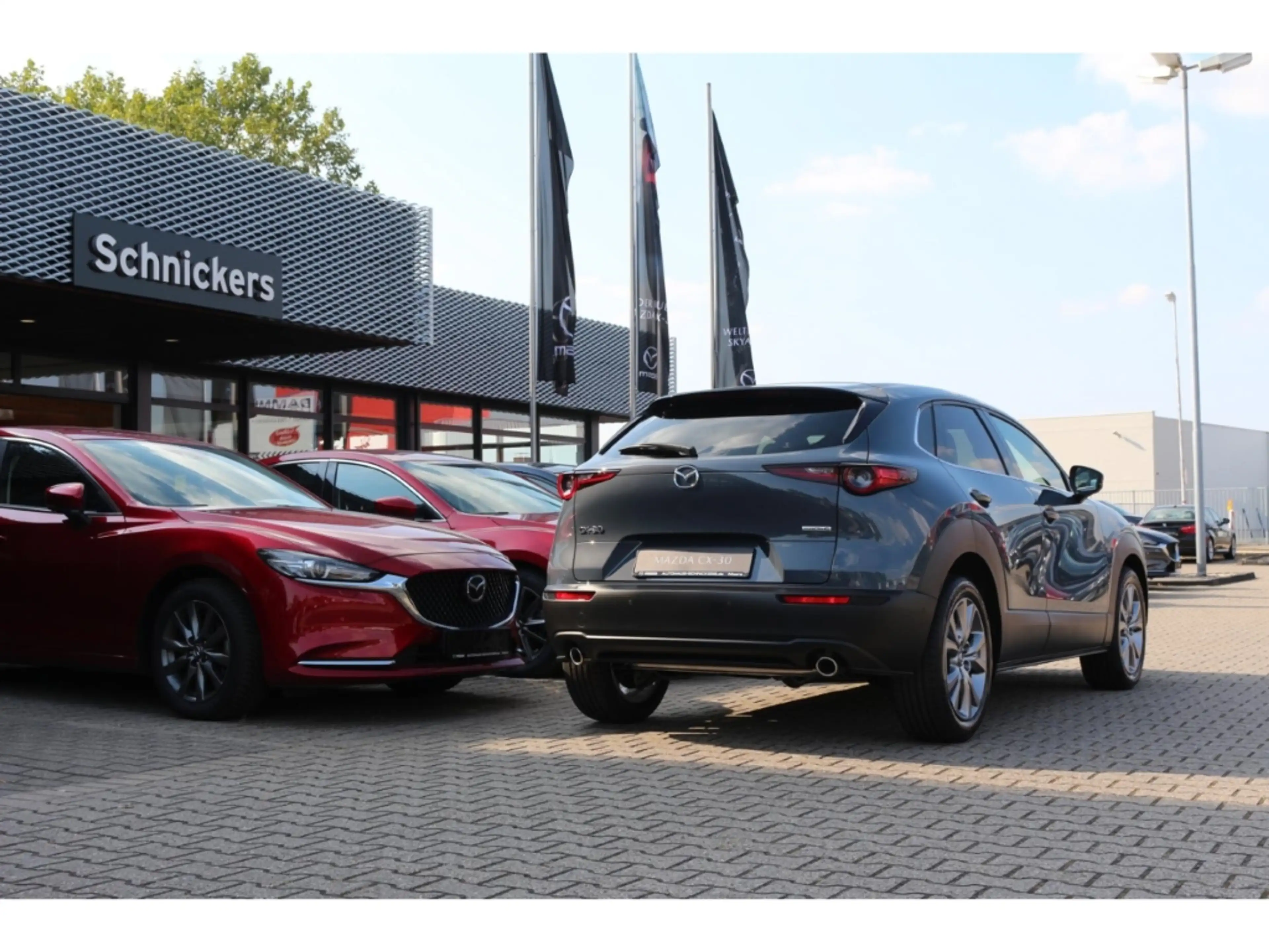 Mazda CX-30 SKY-G SELECTION+BOSE+360°CAM+GJ-RÄDER !! — photo 5