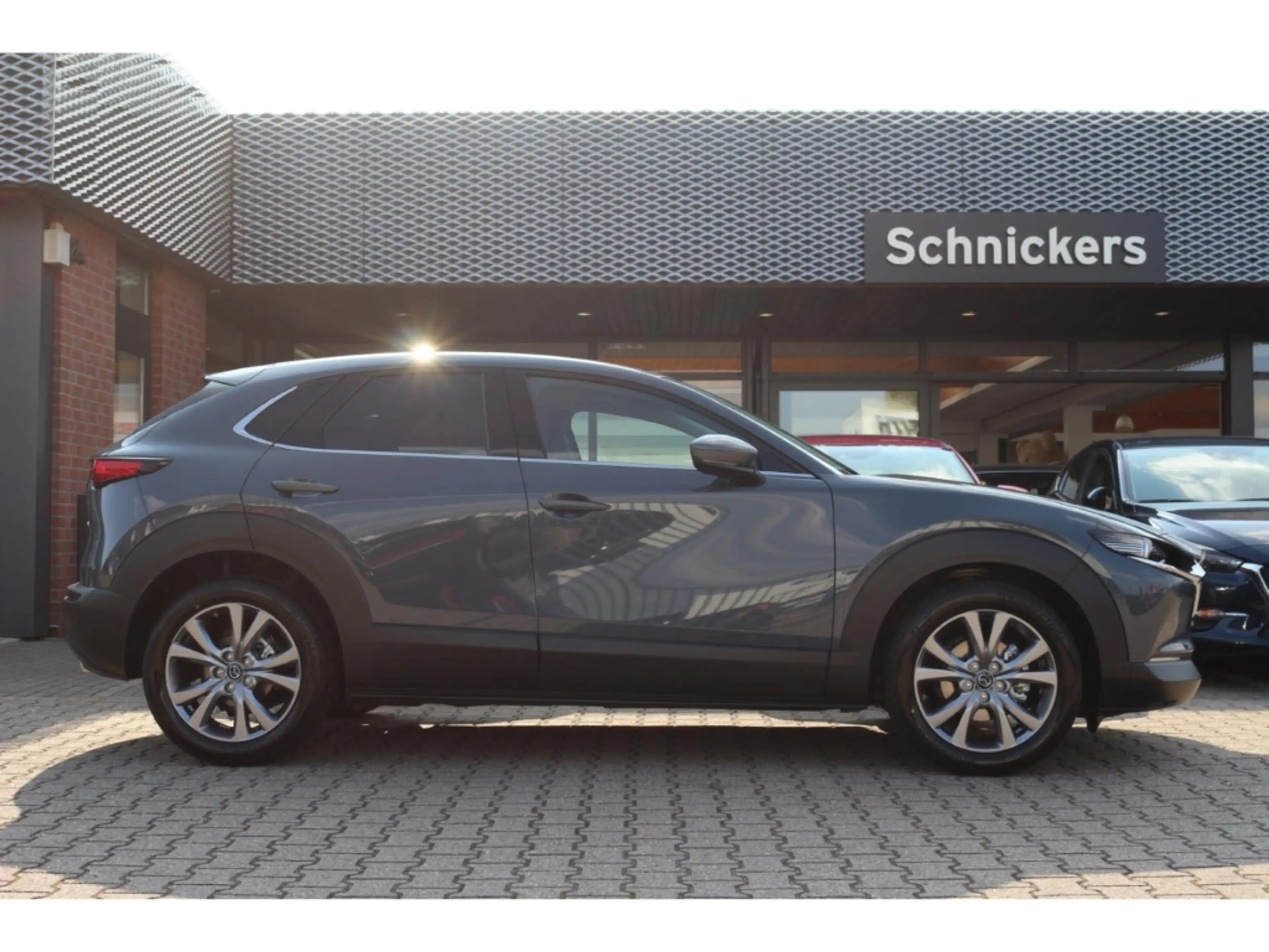 Mazda CX-30 SKY-G SELECTION+BOSE+360°CAM+GJ-RÄDER !! — photo 6