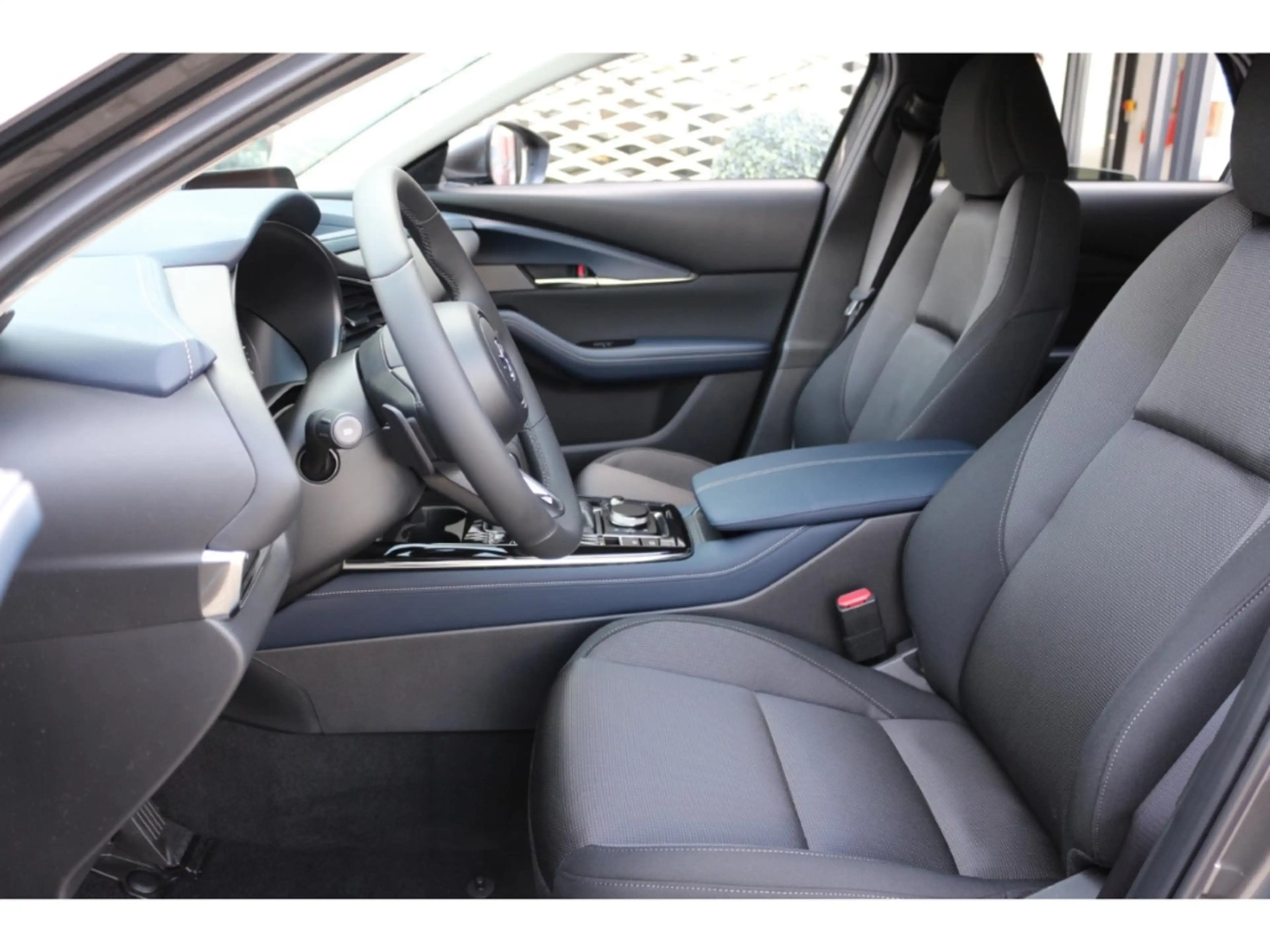 Mazda CX-30 SKY-G SELECTION+BOSE+360°CAM+GJ-RÄDER !! — photo 10