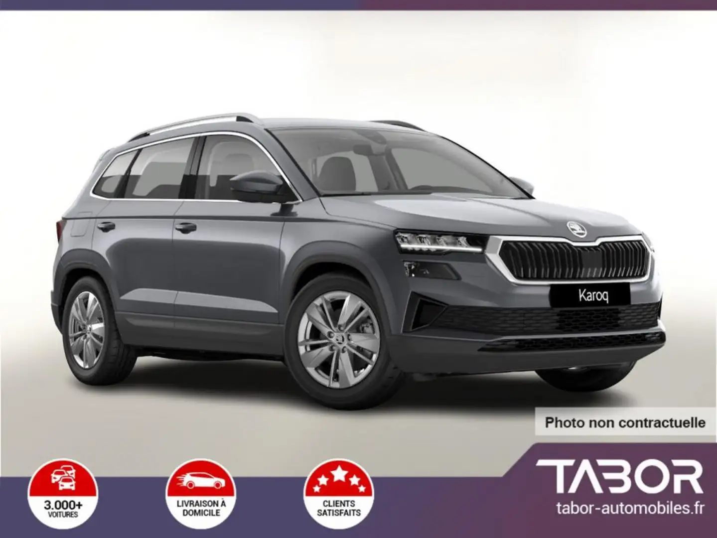 Skoda Karoq TDI 150 DSG Selec GPS LED WinterP Gris - 1