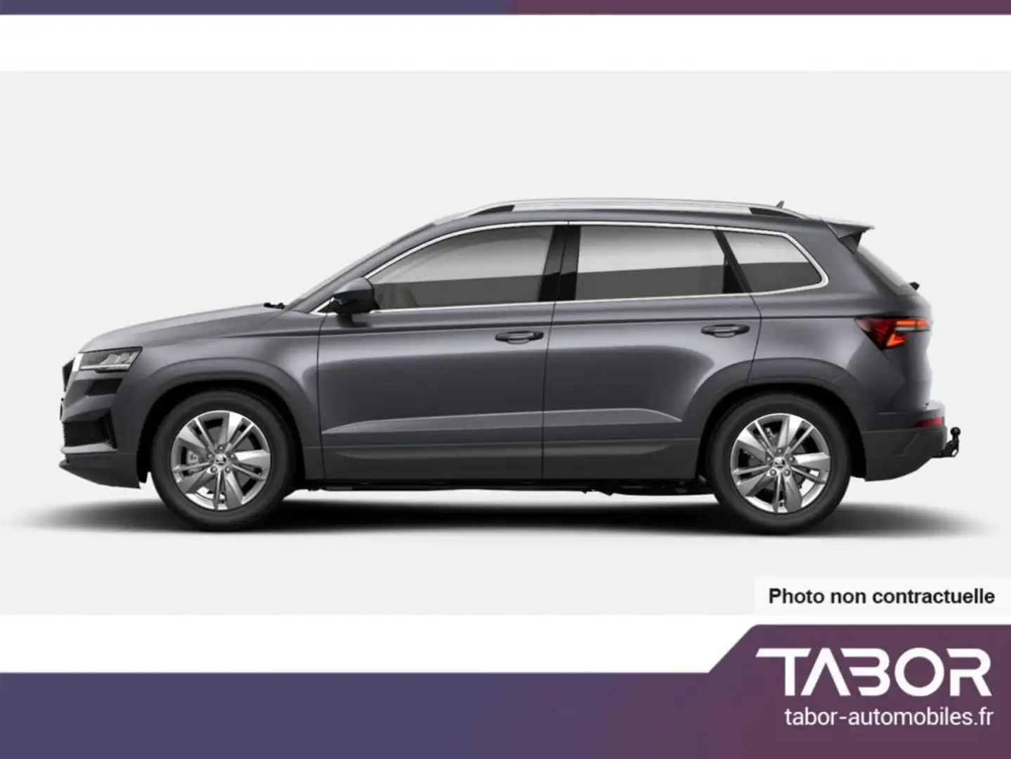 Skoda Karoq TDI 150 DSG Selec GPS LED WinterP Gris - 2