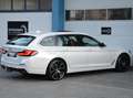 BMW 530 530d xDrive Luxury Line *AHK*PANO*Assistenzsysteme Weiß - thumbnail 6