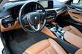 BMW 530 530d xDrive Luxury Line *AHK*PANO*Assistenzsysteme Weiß - thumbnail 8