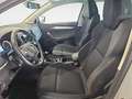 Skoda Karoq 2.0 TDI EVO AMBITION Grigio - thumbnail 12