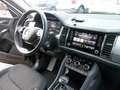 Skoda Kodiaq 4x4 7P 2.0TDI DSG Nero - thumbnail 11