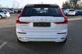 Volvo XC60 T6 Inscription PHEV AWD*AHK*RFK*H&K*STHZG* Weiß - thumbnail 4