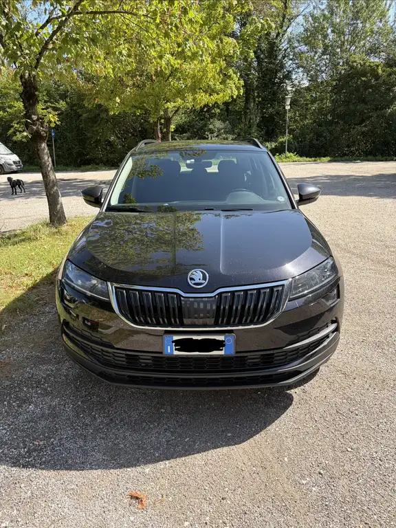 Skoda Karoq 2018 из Европы — купить под ключ