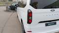 Ford Tourneo Custom *PROMO* 320 2.0 EcoBlue 136CV PL Titanium Bianco - thumbnail 15