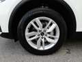 Audi Q5 50 TFSI e quattro PHEV S-tr *VOLL LED / NAVI / VIRTUELL / KAMERA / ASS. TOUR / ACC / AUDI SOUNSYSTEM / E-KLAPPE* Weiß - thumbnail 15