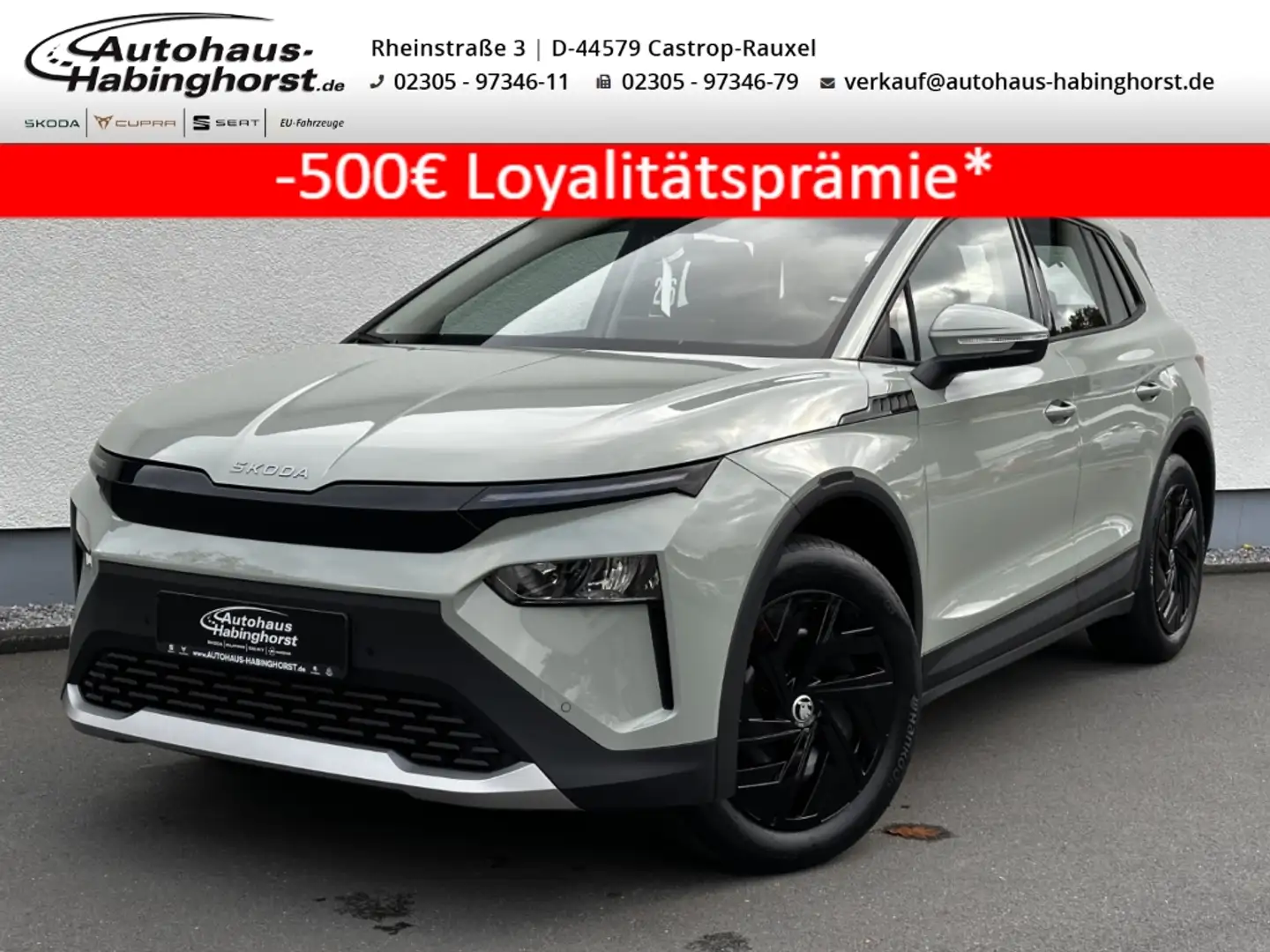 Skoda Elroq 50 Tour-55 kWh AHK ACC DAB LED FullLink Alu Grün - 1