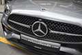 Mercedes-Benz C 300 Estate de 9G-Tronic Grau - thumbnail 40
