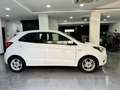 Ford Ka/Ka+ Ka   1.2 Ultimate 85cv Blanc - thumbnail 4