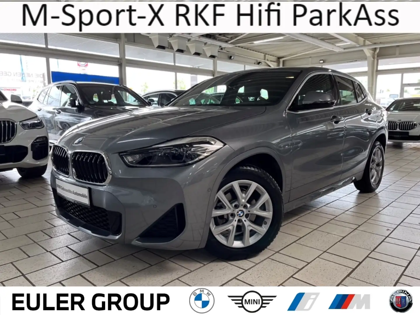 BMW X2 18i A M-Sport-X RKF Hifi ParkAss El.Heckklappe LED Grau - 1
