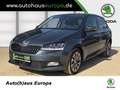 Skoda Fabia 1.0 TSI Clever Best of ACC KlimaA Navi Pano SmartL Grigio - thumbnail 1