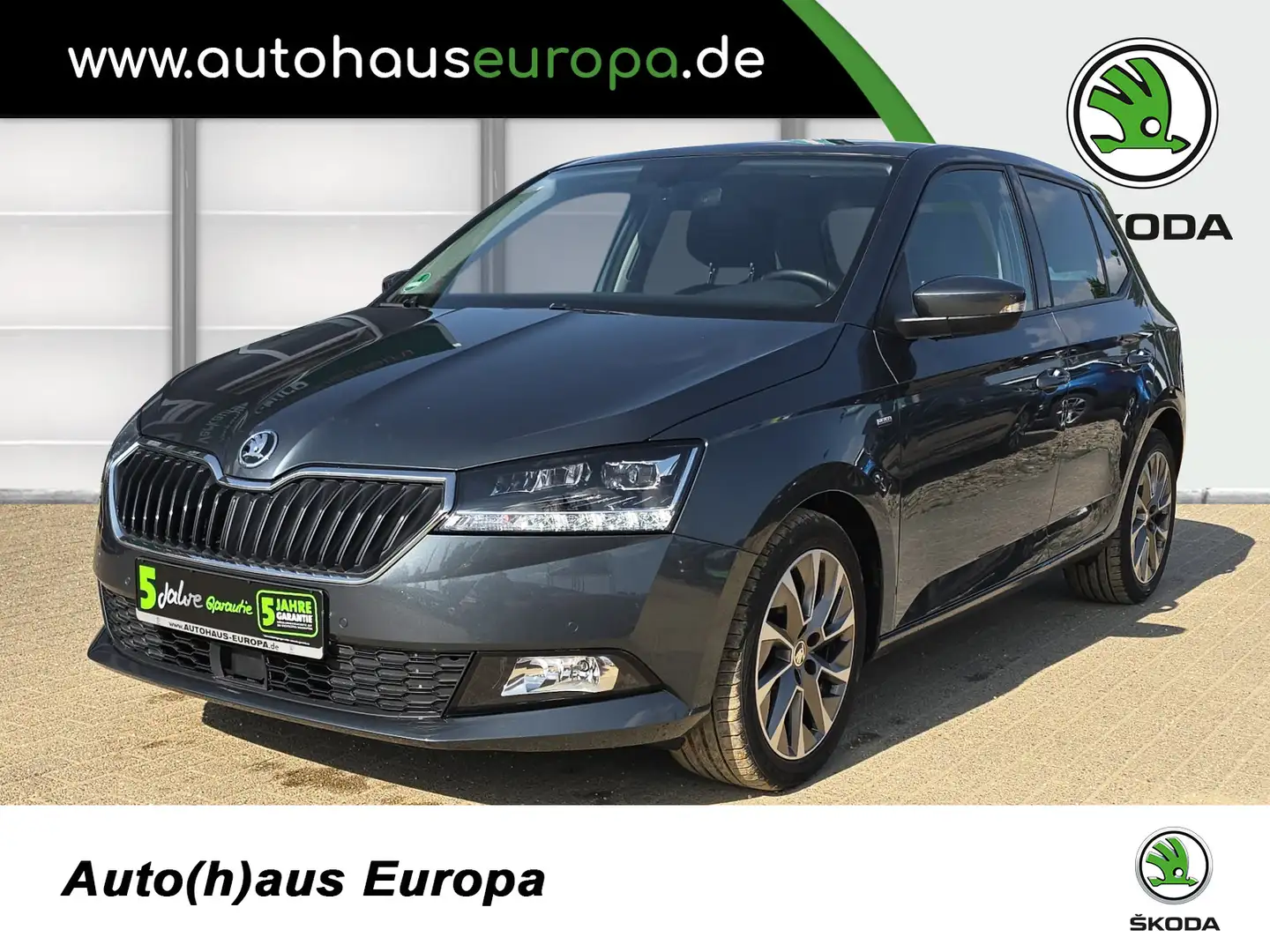 Skoda Fabia 1.0 TSI Clever Best of ACC KlimaA Navi Pano SmartL Grigio - 1