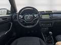 Skoda Fabia 1.0 TSI Clever Best of ACC KlimaA Navi Pano SmartL Grigio - thumbnail 15