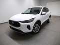 Ford Kuga 1.5 EcoBoost 186 Aut. Titanium Weiß - thumbnail 1