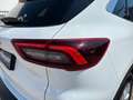 Ford Kuga 1.5 EcoBoost 186 AUT. Titanium |LED|GJR| Weiß - thumbnail 11