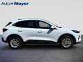 Ford Kuga 1.5 EcoBoost 186 AUT. Titanium |LED|GJR| Weiß - thumbnail 3