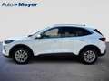 Ford Kuga 1.5 EcoBoost 186 AUT. Titanium |LED|GJR| Weiß - thumbnail 6
