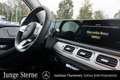 Mercedes-Benz GLE 350 GLE 350 de 4MATIC AMG Line AHK Pano 360° Distro Weiß - thumbnail 16