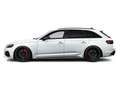 Audi RS4 Avant 2.9 TFSI quattro tiptronic Matrix-LED+HUD+Pa White - thumbnail 7