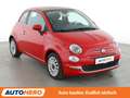 Fiat 500C 1.0 Mild-Hybrid Dolcevita *PDC*KLIMA* Rot - thumbnail 8