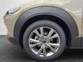 Mazda CX-30 2.5L e-SKYACTIV G 140ps Exclusive-line Verde - thumbnail 16