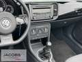 Volkswagen Beetle Cabriolet 1.2 TSI PDC vo. u. hi.,GRA,K Blanc - thumbnail 9