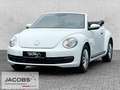 Volkswagen Beetle Cabriolet 1.2 TSI PDC vo. u. hi.,GRA,K Blanc - thumbnail 1
