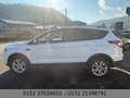 Ford Kuga Cool & Connect Navi Klimauto. SHZ AHK Kamera Weiß - thumbnail 11