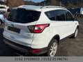 Ford Kuga Cool & Connect Navi Klimauto. SHZ AHK Kamera Weiß - thumbnail 8