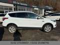Ford Kuga Cool & Connect Navi Klimauto. SHZ AHK Kamera Weiß - thumbnail 4