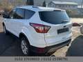 Ford Kuga Cool & Connect Navi Klimauto. SHZ AHK Kamera Weiß - thumbnail 10