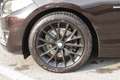BMW 220 d Cabrio Luxury STEPTRONIC PRONTA CONSEGNA Bruin - thumbnail 9