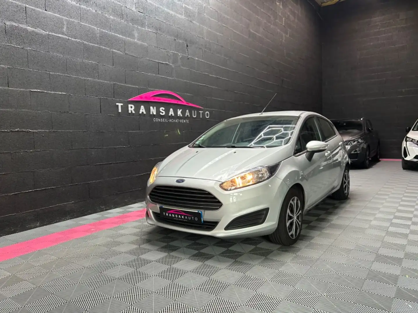 Ford Fiesta 1.5 TDCi 75 FAP Trend Grigio - 1