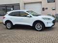 Ford Kuga PHEV TITANIUM KAM LED ANDROID APPLE CAR Blanc - thumbnail 6
