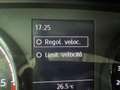 Volkswagen T6.1 California 2.0 TDI  150CV - ANCHE CON ANTICIPO ZERO! Weiß - thumbnail 24