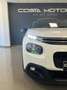 Citroen C3 1.5BlueHDi S&S Feel 100 Blanc - thumbnail 2