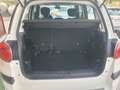 Fiat 500L 500L 1.3 Multijet 95 CV Cross Bianco - thumbnail 14