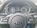 Kia XCeed Xceed 1,5 TGDI 48V GPF Gold DCT Grau - thumbnail 11