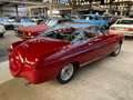Oldtimer Fiat 1400 BOANO ( zeer zeldzaam!!!) Rood - thumbnail 4