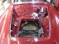 Oldtimer Fiat 1400 BOANO ( zeer zeldzaam!!!) Rood - thumbnail 16
