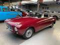 Oldtimer Fiat 1400 BOANO ( zeer zeldzaam!!!) Rood - thumbnail 8