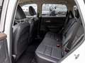 Nissan X-Trail tekna Leder+19Z+Matrix+ProPilot+HUD+ACC+eHeckkl+Me Blanco - thumbnail 20