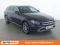 Mercedes-Benz E 220 E 220 d All-Terrain 4Matic Blau - thumbnail 8