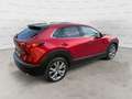 Mazda CX-30 2.0L e-Skyactiv-X M Hybrid 2WD Exceed Rosso - thumbnail 6
