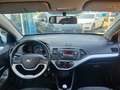 Kia Picanto Spirit **AU/HU bis 06/2027** 1-Hand Weiß - thumbnail 9