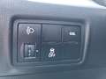 Kia Picanto Spirit **AU/HU bis 06/2027** 1-Hand Weiß - thumbnail 14