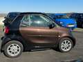 smart forTwo fortwo cabrio electric drive / EQ Marrón - thumbnail 8